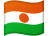 NER